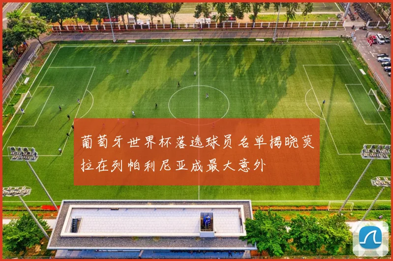葡萄牙世界杯落选球员名单揭晓莫拉在列帕利尼亚成最大意外